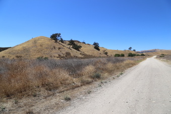 Enlarge photo 40