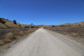 Enlarge photo 41