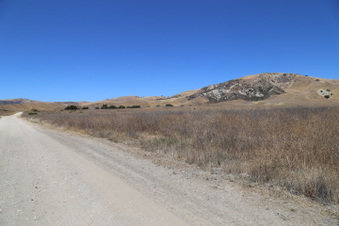 Enlarge photo 42