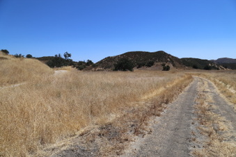 Enlarge photo 43