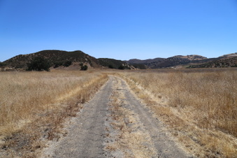 Enlarge photo 44