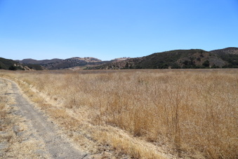 Enlarge photo 45
