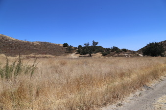 Enlarge photo 46