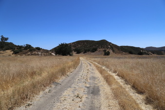 Enlarge photo 47