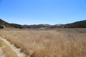 Enlarge photo 48