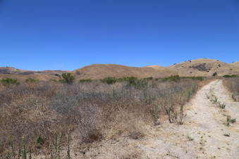 Enlarge photo 49