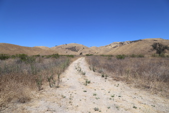 Enlarge photo 50