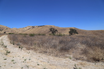 Enlarge photo 51
