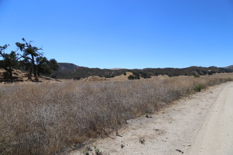 Enlarge photo 52