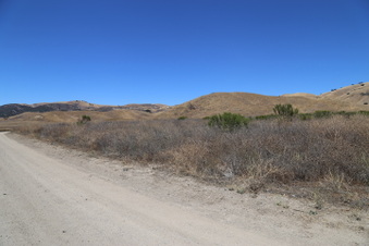 Enlarge photo 54