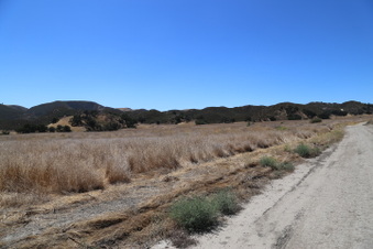 Enlarge photo 55