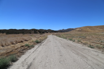 Enlarge photo 56