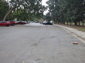 Enlarge photo 12