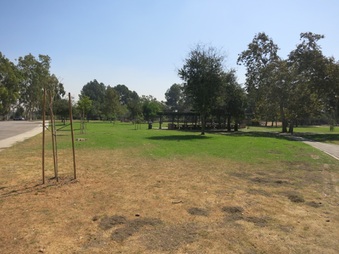 Enlarge photo 31