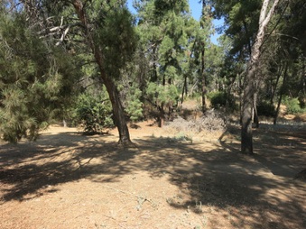 Enlarge photo 34