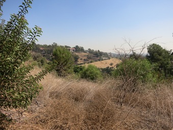 Enlarge photo 45
