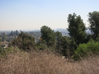 Enlarge photo 46