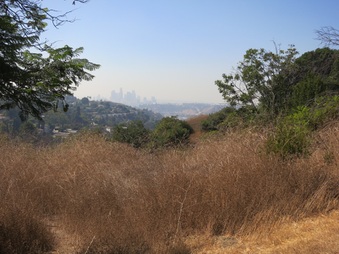 Enlarge photo 57