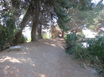 Enlarge photo 69