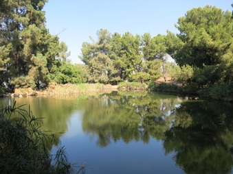 Enlarge photo 76