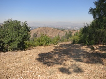 Enlarge photo 81