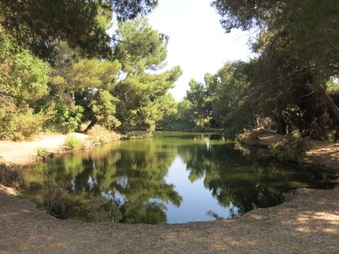 Enlarge photo 87