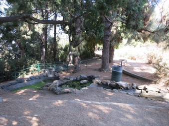 Enlarge photo 89