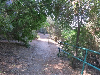 Enlarge photo 91