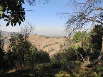 Enlarge photo 94