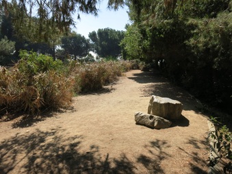 Enlarge photo 95