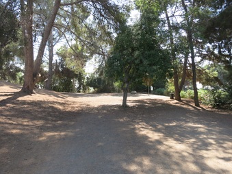Enlarge photo 97