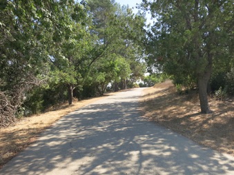Enlarge photo 99