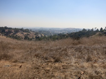 Enlarge photo 105