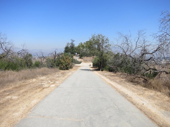 Enlarge photo 110