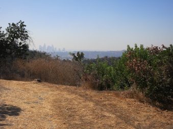 Enlarge photo 119