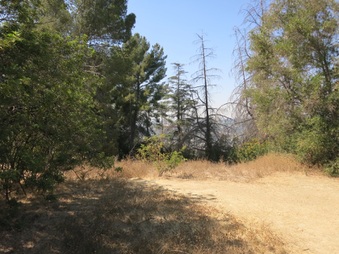 Enlarge photo 124