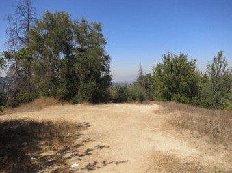 Enlarge photo 126