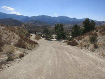 Enlarge photo 28