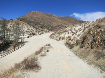 Enlarge photo 33