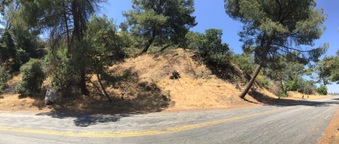 Cathy's Corner - Mount Hollywood Drive