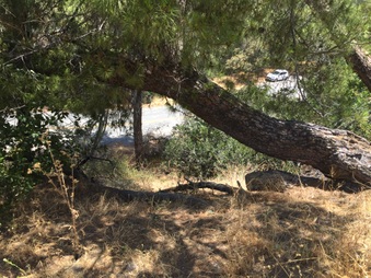 Enlarge photo 11
