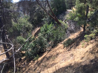 Enlarge photo 15