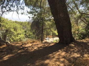 Enlarge photo 16