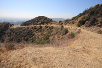 Enlarge photo 2