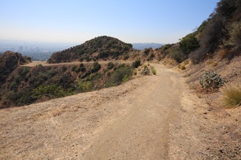 Enlarge photo 5