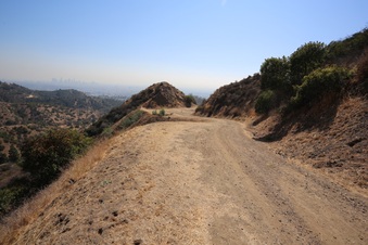Enlarge photo 7
