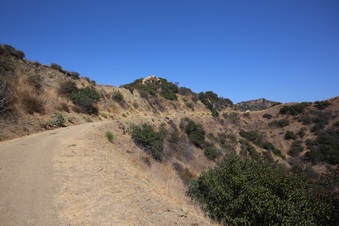 Enlarge photo 11