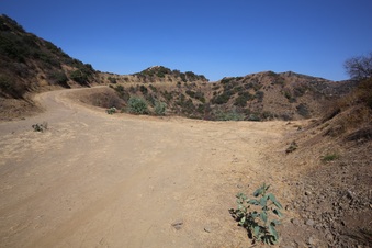 Enlarge photo 20