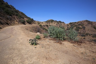 Enlarge photo 25