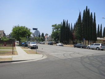 Enlarge photo 43